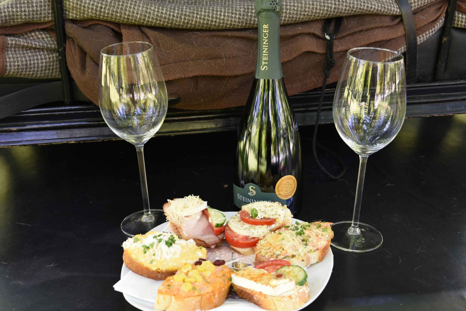 ヴァッハウ磁器馬車 葡萄畑の中を馬車で走るゾクゾクするような体験