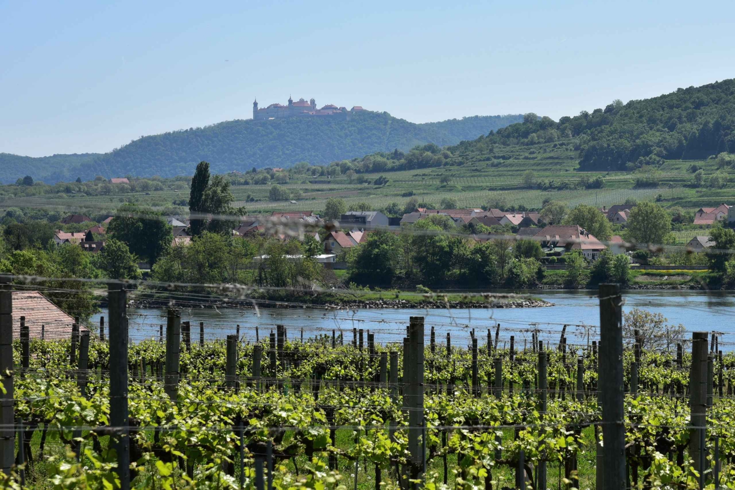 ヴァッハウ磁器馬車 葡萄畑の中を馬車で走るゾクゾクするような体験