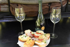 ヴァッハウ磁器馬車 葡萄畑の中を馬車で走るゾクゾクするような体験