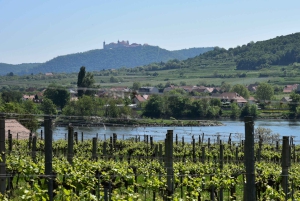 ヴァッハウ磁器馬車 葡萄畑の中を馬車で走るゾクゾクするような体験