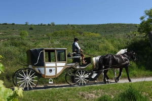 ヴァッハウ磁器馬車 葡萄畑の中を馬車で走るゾクゾクするような体験