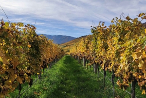 Dolina Wachau: 3 zamki i wino - całodniowa prywatna wycieczka z przewodnikiem