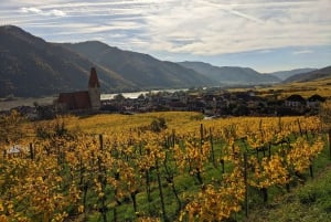 Dolina Wachau: 3 zamki i wino - całodniowa prywatna wycieczka z przewodnikiem