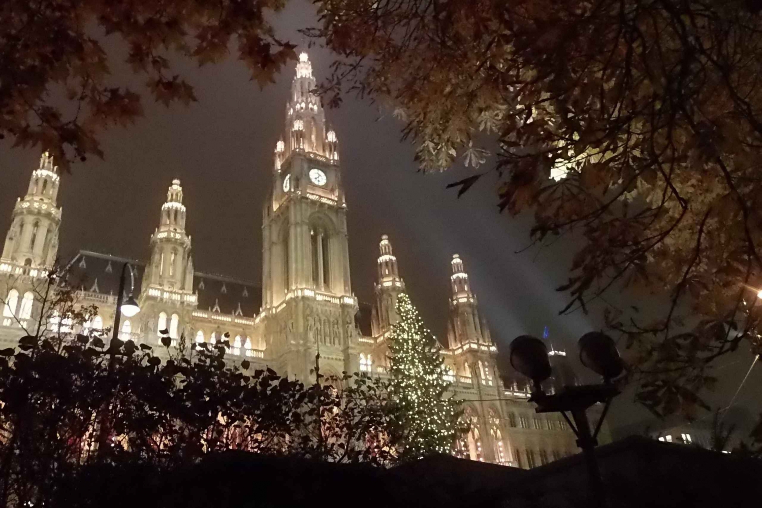 Walking on the historical trail of Viennese Christmas Trees