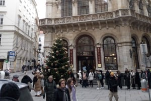 Walking on the historical trail of Viennese Christmas Trees