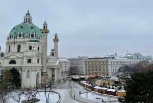 Museu de Viena: Tour geral para grupos particulares