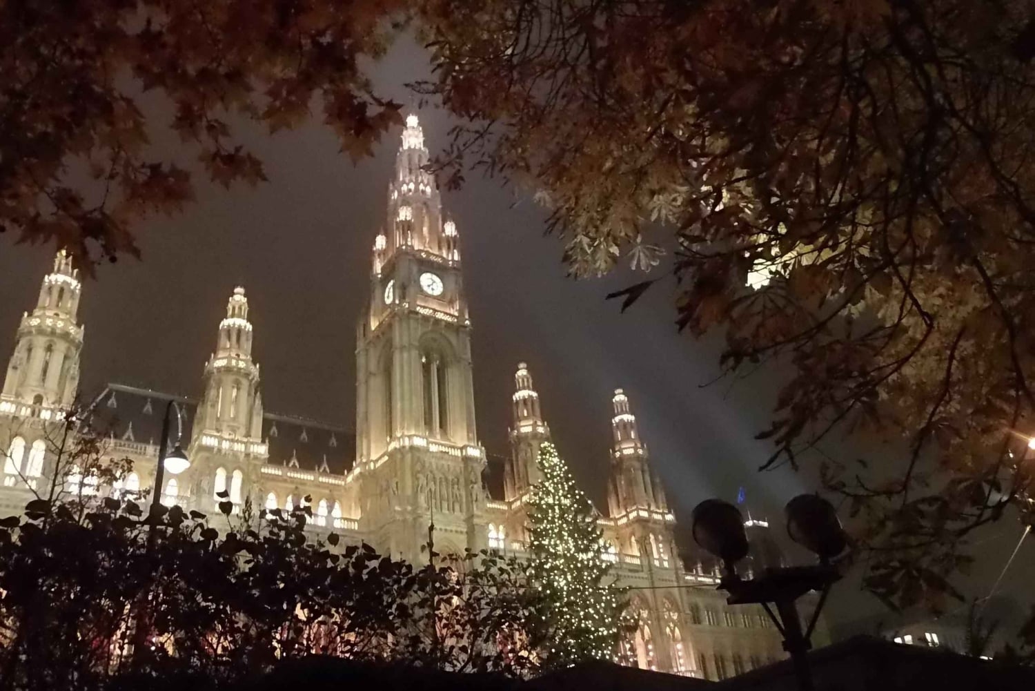 Vienna: tour sul percorso storico dell'albero di Natale