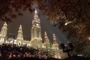 Vienna: tour sul percorso storico dell'albero di Natale