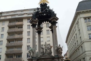 Vienna: tour sul percorso storico dell'albero di Natale