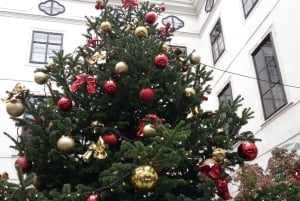 Vienna: tour sul percorso storico dell'albero di Natale