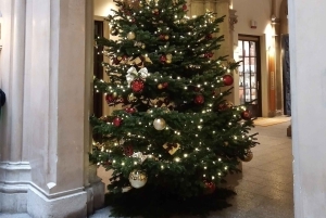Vienna: tour sul percorso storico dell'albero di Natale