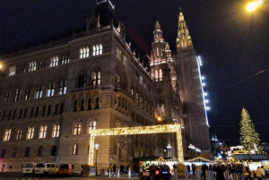 Vienna: tour sul percorso storico dell'albero di Natale