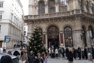 Vienna: tour sul percorso storico dell'albero di Natale