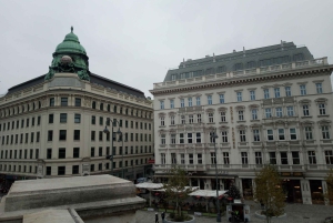 Vienna: tour sul percorso storico dell'albero di Natale