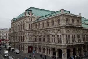 Vienna: tour sul percorso storico dell'albero di Natale