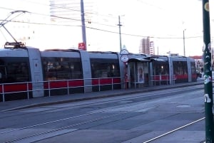 Viena: passeio pela Ringstrasse, Hofburg de transportes públicos e a pé