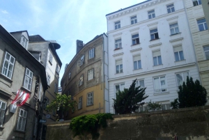 Wien: Tours Vienna for you