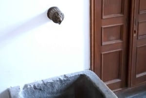 Wien: Tours Vienna for you