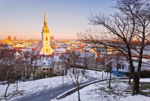 Gita di 1 giorno invernale: da Vienna a Bratislava in autobus e in barca