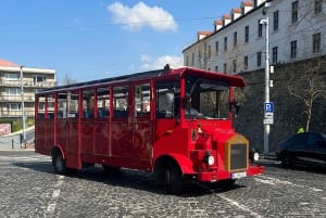Gita di 1 giorno invernale: da Vienna a Bratislava in autobus e in barca
