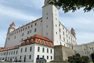 Gita di 1 giorno invernale: da Vienna a Bratislava in autobus e in barca