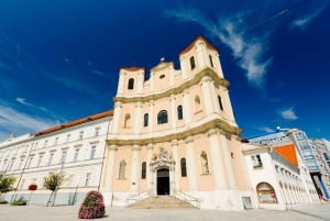 Gita di 1 giorno invernale: da Vienna a Bratislava in autobus e in barca