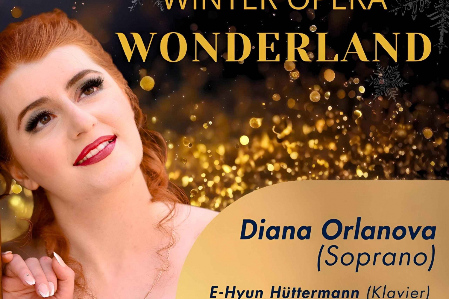 Winter Opera Wonderland: Concerto de Ópera Temática em Viena