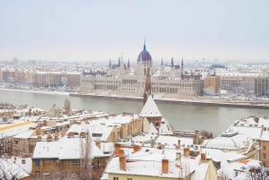 Excursión de 1 día a Budapest desde Viena