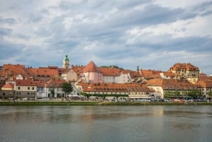 Zagreb:Private Transfer to Vienna+Sightseeing Stops + ticket