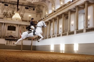 Performance Of The Lipizzans At Spanish Riding School