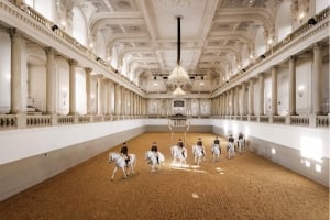 Performance Of The Lipizzans At Spanish Riding School
