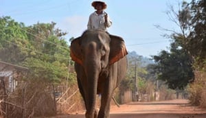 Top Beaches in Vietnam