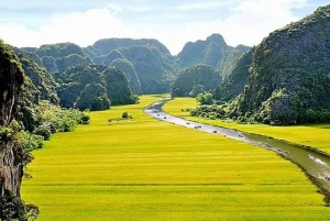 1-Day From Hanoi - Hoa Lu - Trang An - Mua Cave - Lunch