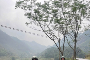 1 Day Ha Giang Loop Tour by Motorbike with Easy Rider - Real