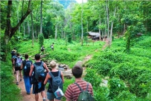 Excursion d'une journée à Hanoi : Ninh Binh, Hoa Lu, Tam Coc et la grotte de Mua