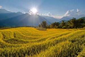 From Sapa: 1-Day Guided Trek to Lao Chai & Ta Van with Lunch