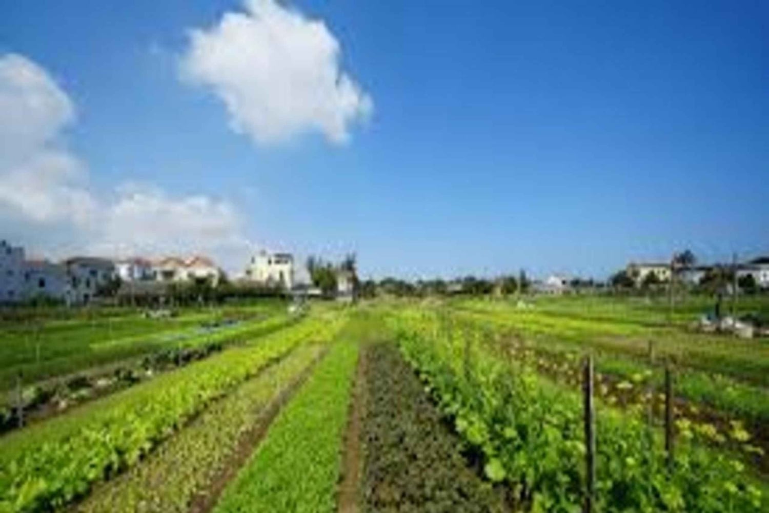 10 Days Vietnam Family Tour