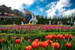 2-Day Da Nang & Hoi An Tour: Hills, Heritage & Ocean Views