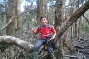 2-tägige Bergwanderung zum Fansipan – Indochinas höchster Gipfel