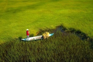 2-Day Mekong Delta: My Tho, Can Tho & Floating Market