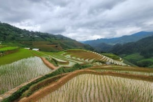 2-Day Motorbike Tour to Mu Cang Chai Loop from Sapa