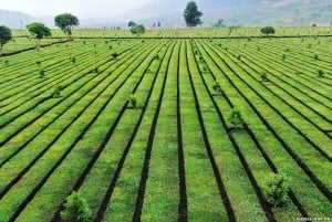 2-dagars motorcykeltur till Mu Cang Chai Loop från Sapa