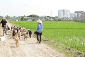 2 Tage Ninh Binh: Hoa Lu/Bai Dinh – Trang An/Tam Coc – Mua-Höhle
