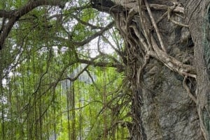 2-dagars tur till Ninh Binh Trang An, Tam Coc, Thung Nham Bird Park