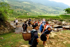 From Hanoi: 2-Day Overnight Sapa Tour by Luxury Transfer