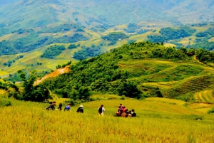 From Hanoi: 2-Day Overnight Sapa Tour by Luxury Transfer