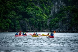 2-Day Peaceful in Bai Tu Long Bay with Luxury Cruise