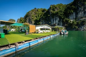 2-Day Peaceful in Bai Tu Long Bay with Luxury Cruise