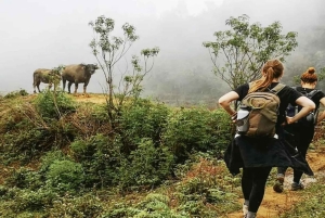 2-tägiges Sapa-Homestay-Abenteuer: Lokales Essen & Wanderwege
