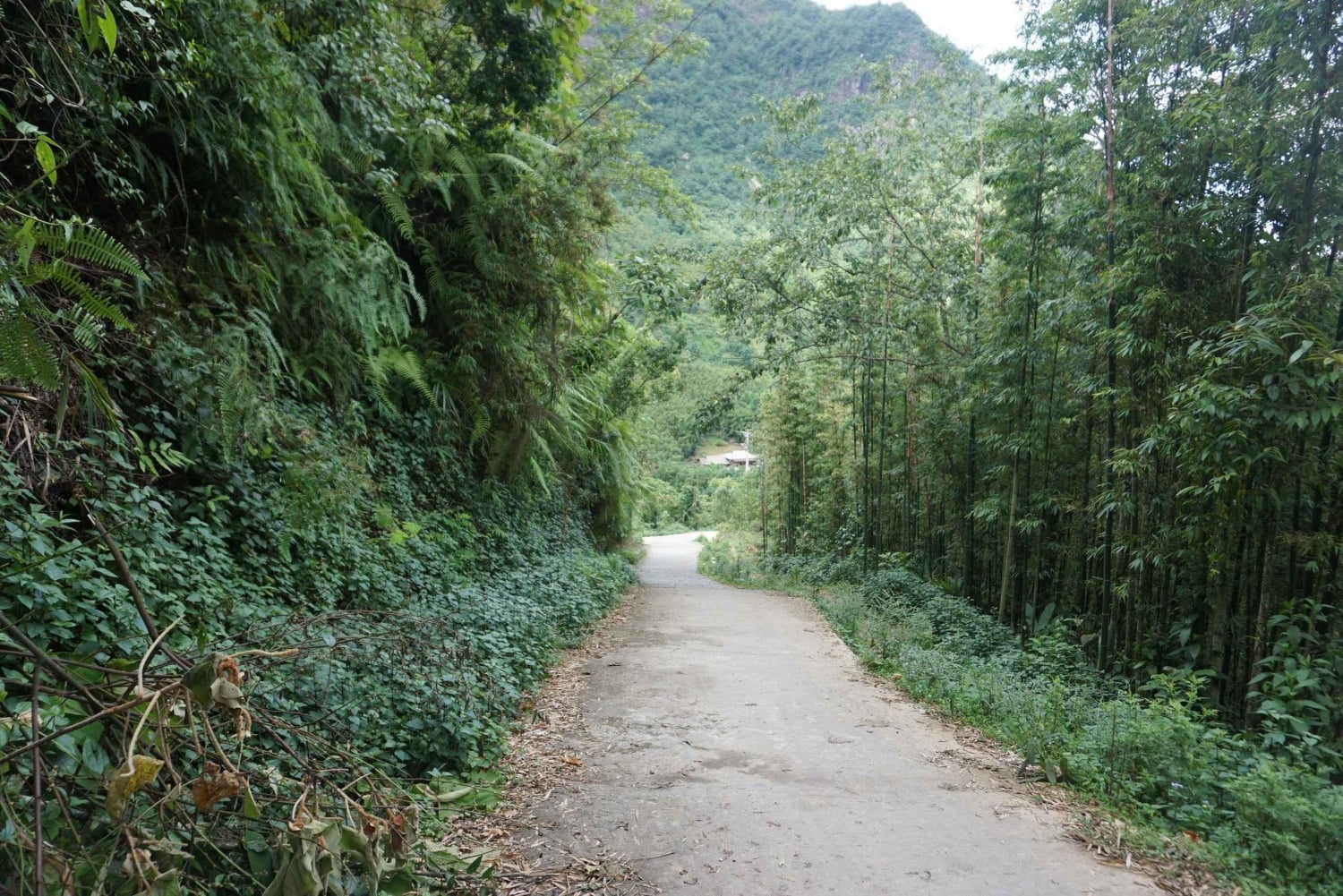 2-dniowa wędrówka po Sa Pa: nietypowe wioski i górska przygoda